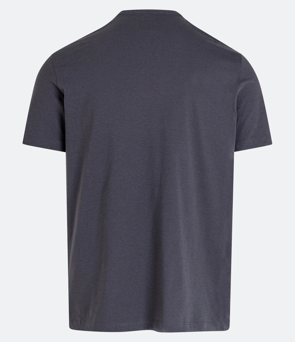 Camiseta Slim Básica – Gola Redonda Chumbo